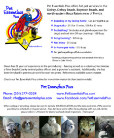 Just $5 for a customized Craigslist ad graphic at Happy Fox Designs! Perfect for marketing, advertising, and networking!